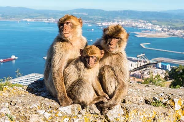 Sehenswürdigkeiten Gibraltar