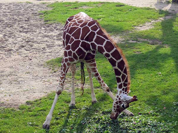 Sehenswürdigkeiten in Jerez