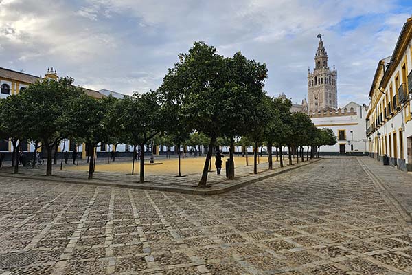 Plaza Patio de Banderas Plaza Patio de Banderas