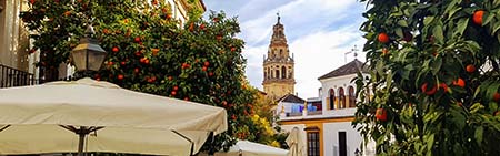 Kathedrale Sevilla Tickets Kathedrale von Sevilla Tickets