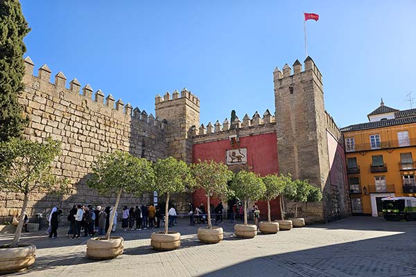 Santa Cruz Santa Cruz