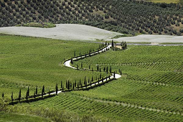 Ronda Sehenswürdigkeiten